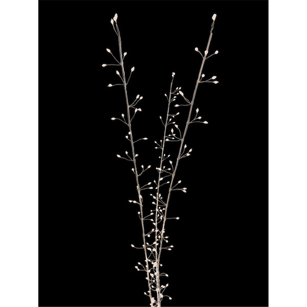 Campanas Y Silbatos 38 in. LED Warm White Lighted Branches Accessory CA2515640 - main